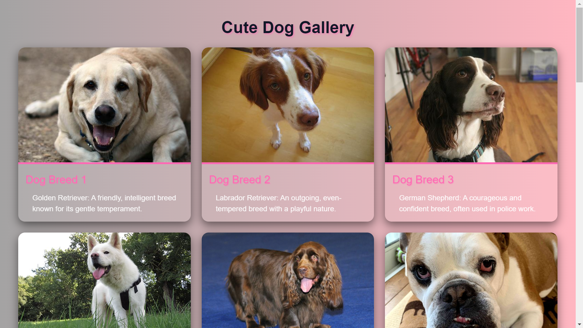 Dogs Gallery